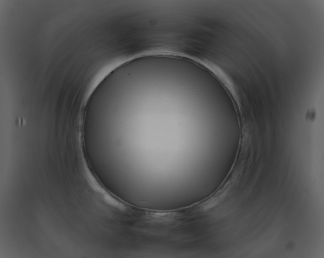 X0000092261390200710051311