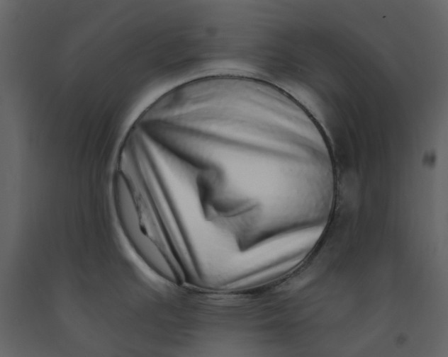 X0000092261391200710051311