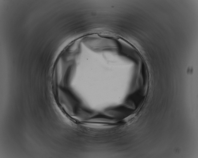 X0000092261392200710051311