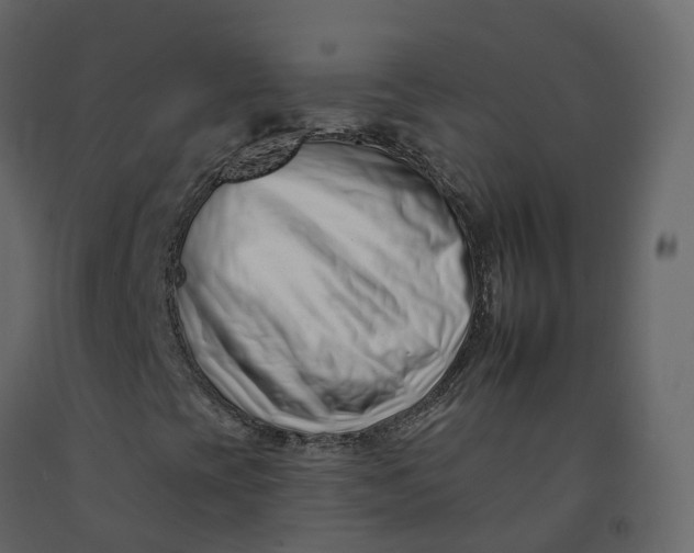 X0000092261393200710051310