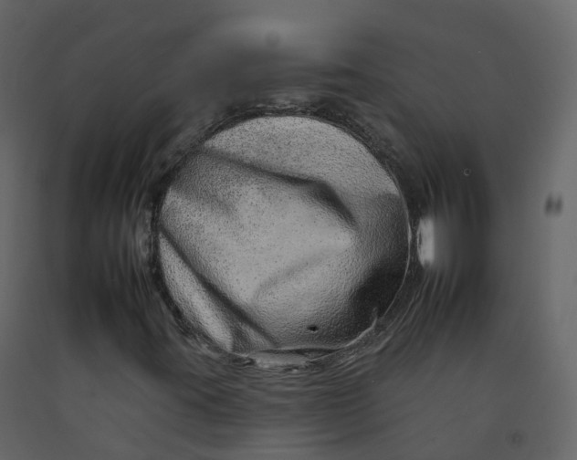 X0000092261395200710051310