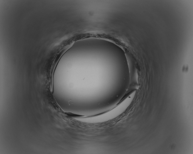 X0000092261398200710051310