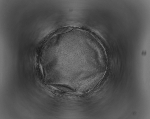 X0000092261399200710051310