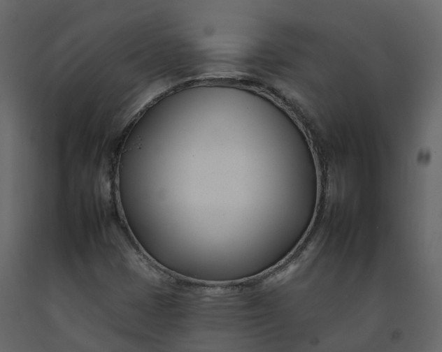 X0000092261401200710051310