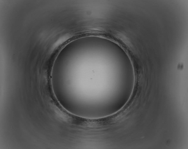 X0000092261402200710051310