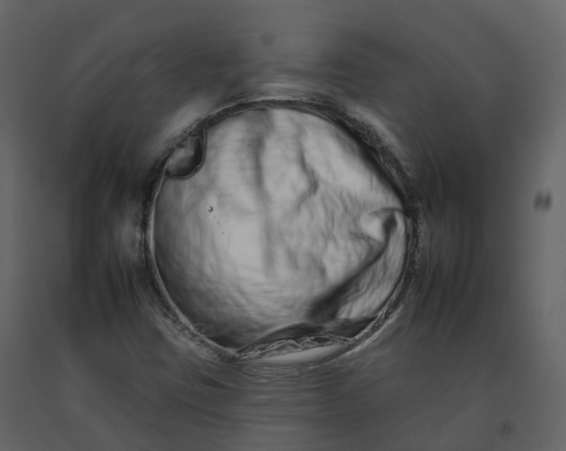 X0000092261403200710051310