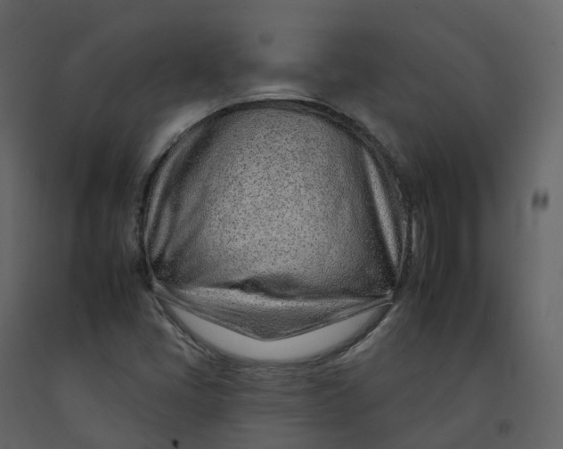 X0000092261405200710051310
