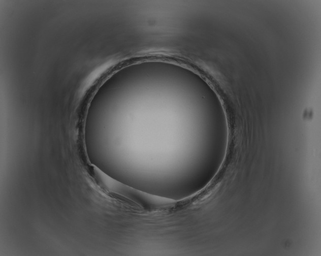 X0000092261406200710051310