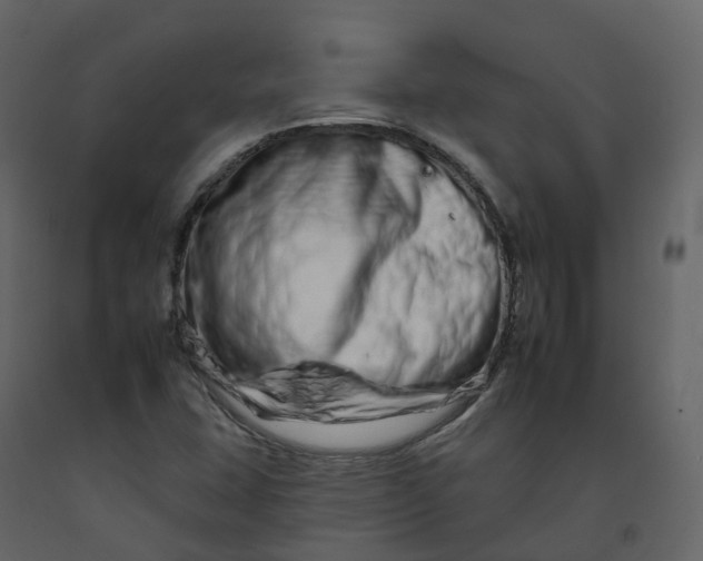 X0000092261407200710051310