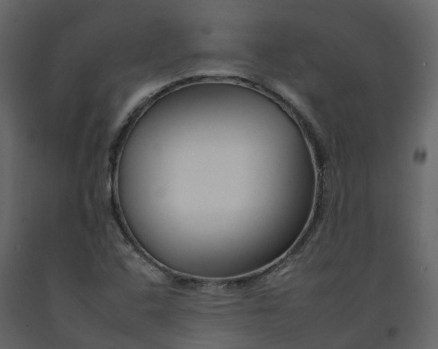 X0000092261408200710051310