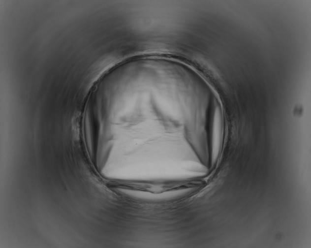 X0000092261409200710051310