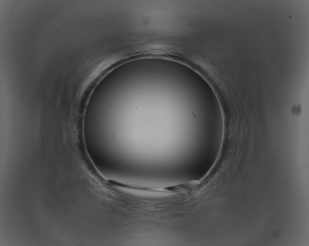 X0000092261410200710051310