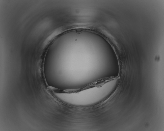 X0000092261411200710051310