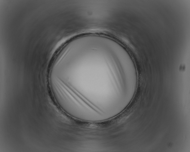 X0000092261412200710051310