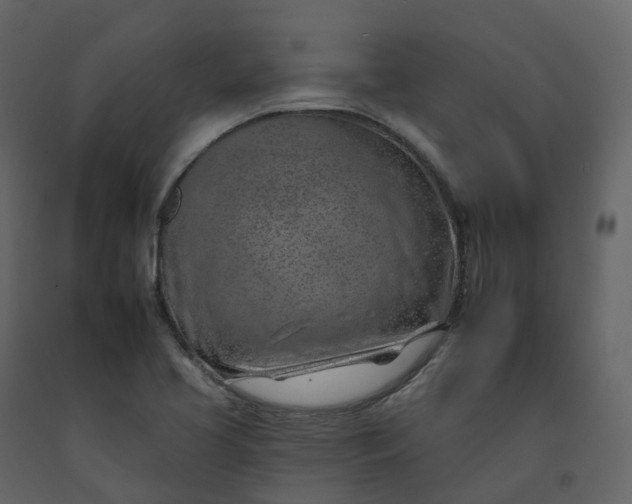 X0000092261413200710051310