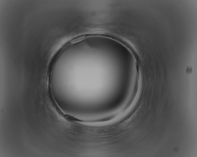 X0000092261414200710051310