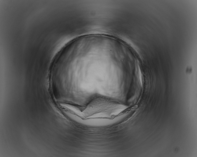 X0000092261415200710051310