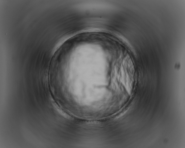 X0000092261417200710051310