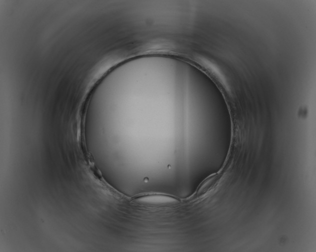 X0000092261419200710051310