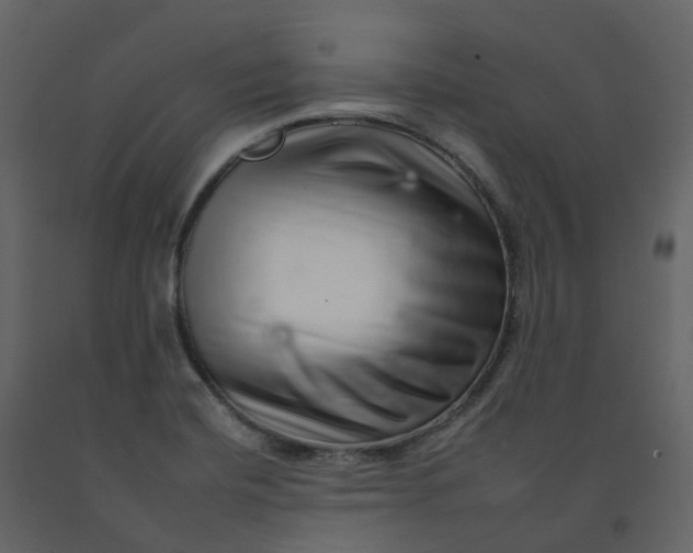 X0000092261420200710051310