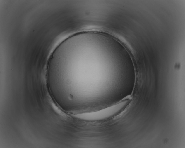 X0000092261421200710051310