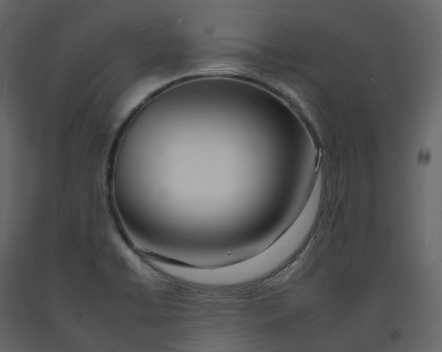 X0000092261422200710051310