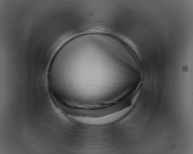 X0000092261423200710051310