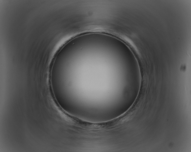 X0000092261424200710051310