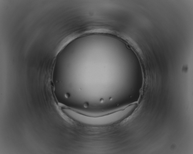 X0000092261425200710051310