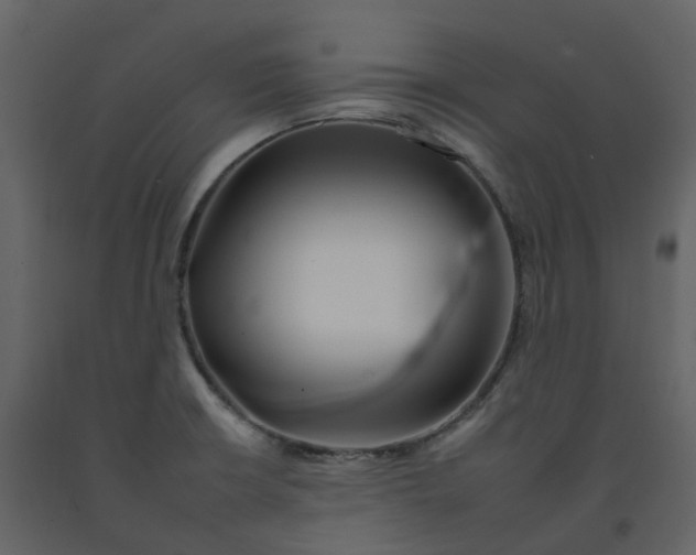 X0000092261426200710051310