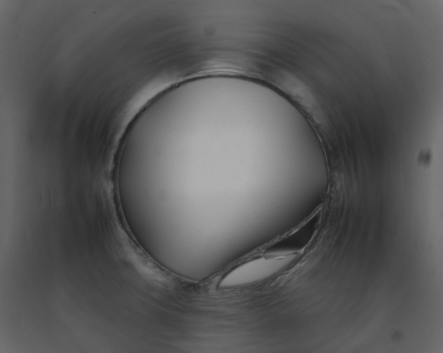 X0000092261427200710051310