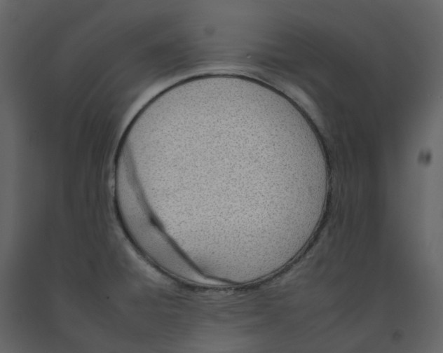 X0000092261428200710051310