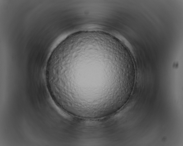 X0000092261429200710051310