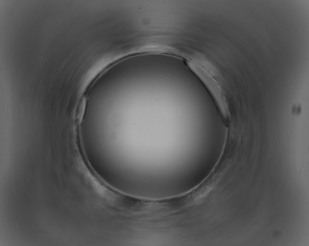 X0000092261430200710051310