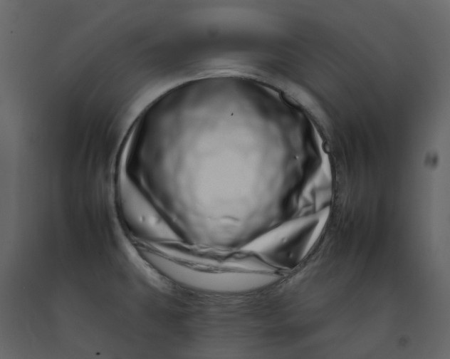 X0000092261431200710051310