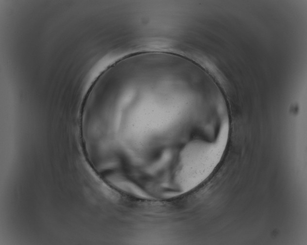 X0000092261432200710051310