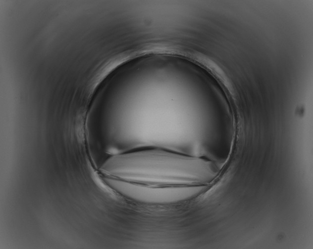 X0000092261433200710051310