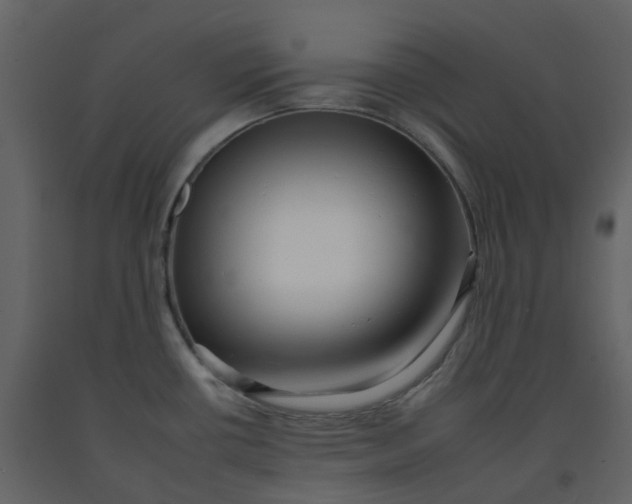 X0000092261434200710051311