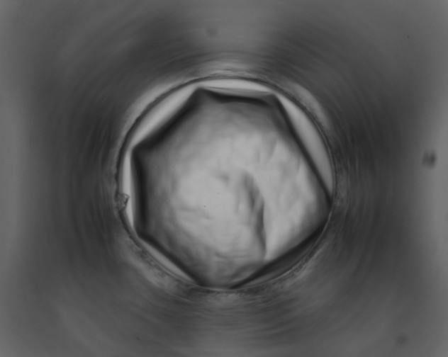 X0000092261435200710051311