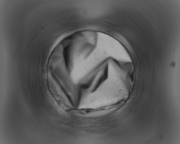 X0000092261436200710051311