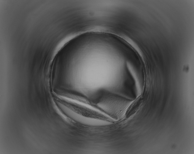 X0000092261437200710051311