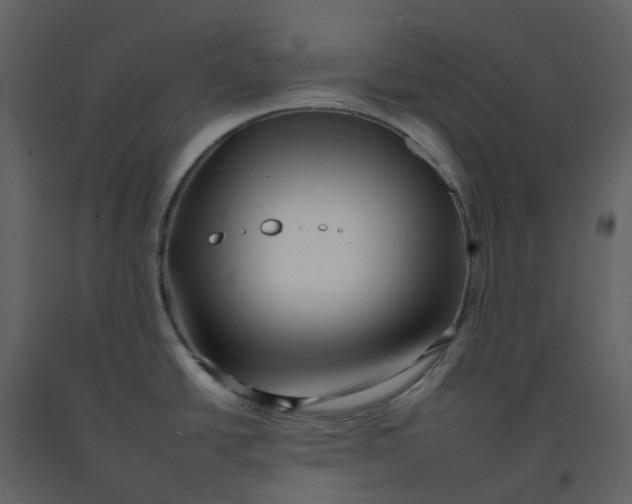 X0000092261438200710051311