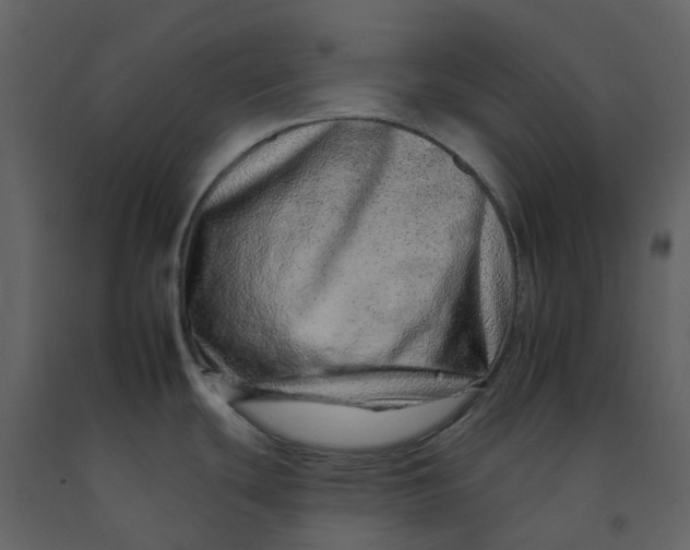 X0000092261439200710051311