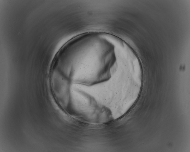 X0000092261440200710051311