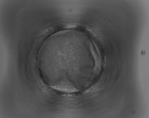 X0000092261441200710051310