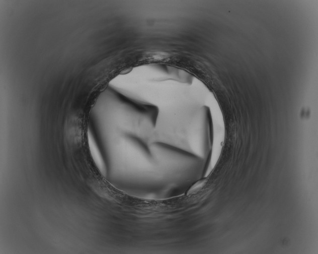 X0000092261442200710051310