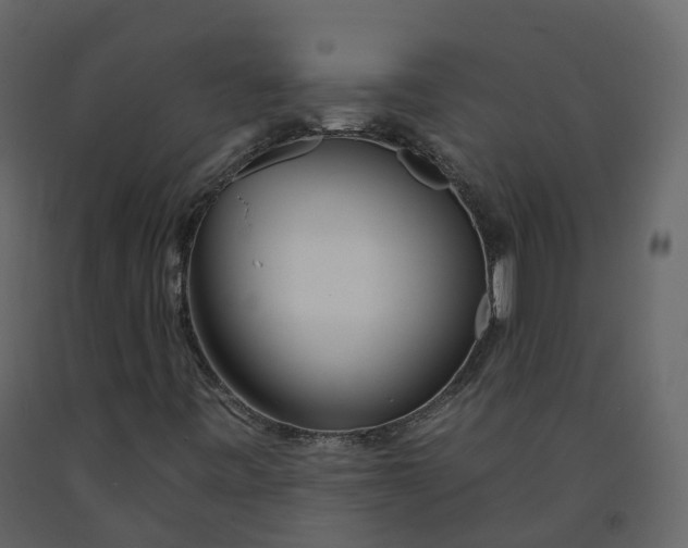 X0000092261443200710051310