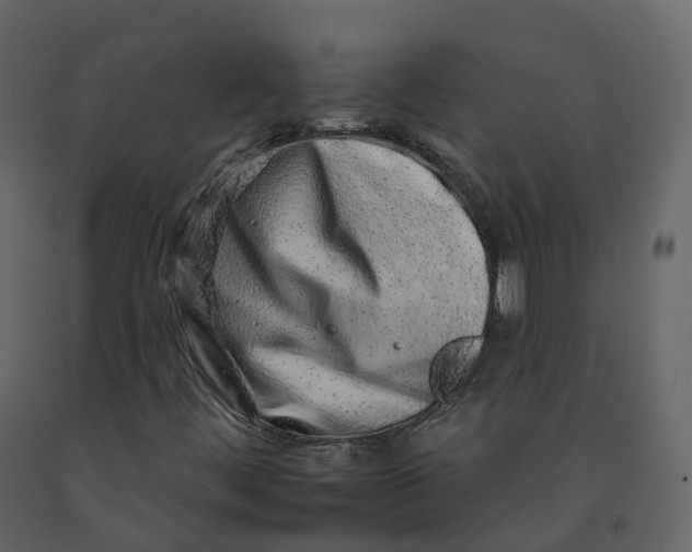 X0000092261444200710051310