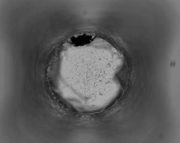 X0000092261445200710051310