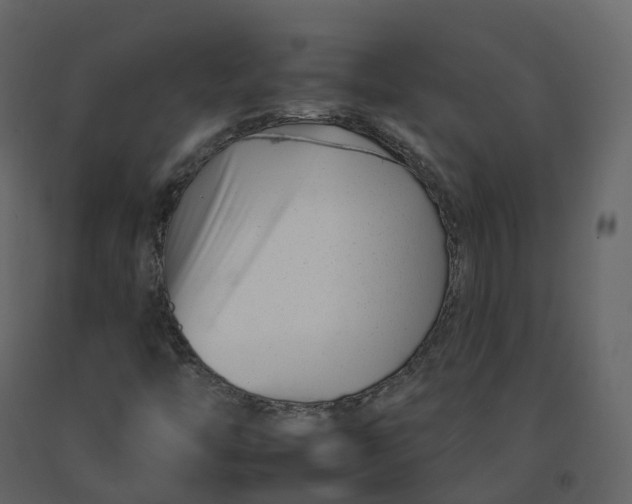 X0000092261446200710051310